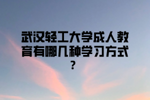 武汉轻工大学成人教育有哪几种学习方式？