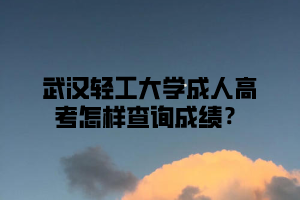 武汉轻工大学成人高考怎样查询成绩？