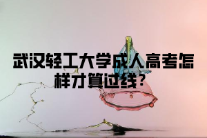 武汉轻工大学成人高考怎样才算过线？